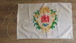 DRAPEAU DE NICE PETIT FORMAT 75x50cm