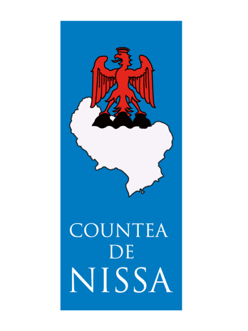 Adhésif plaque de voiture Countea de Nissa